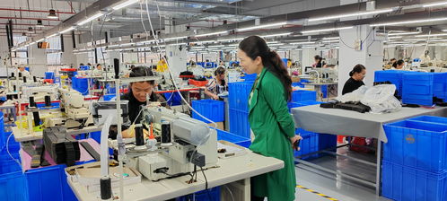 藍山委員提案助推產業大發展，央廣網聚焦社會經濟咨詢服務